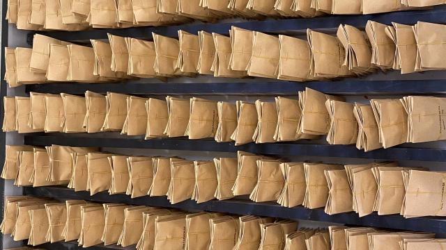 IWWIP International Nurseries are ready for distribution